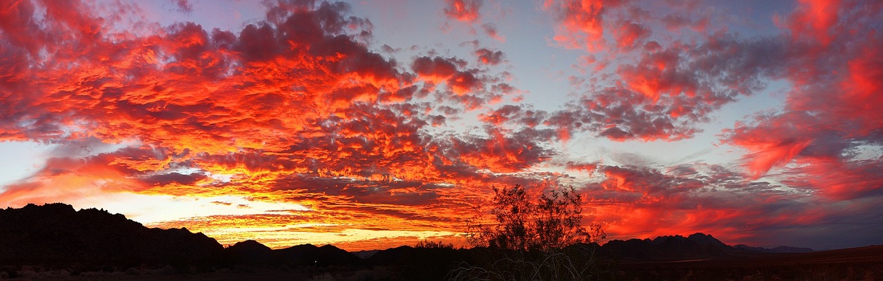 Joshua Tree National Park