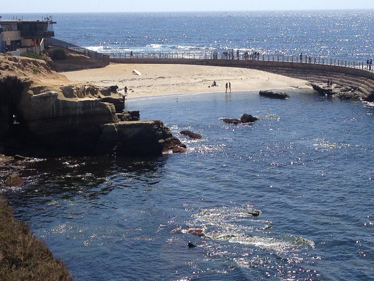 La Jolla Cove Beach
