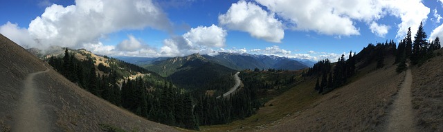 The Olympic National Park