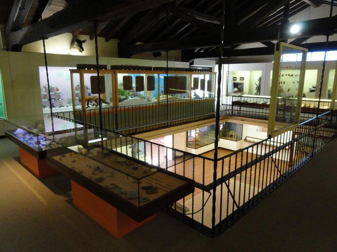 The Museum of Natural History in Pacific Grove
