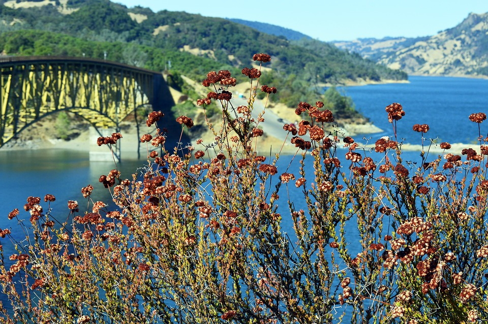 Lake Sonoma in Sonoma County