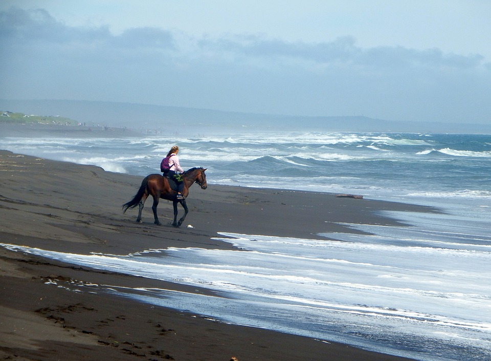 Things to do along the Pacific Coast Highway include beaches, gardens, activities and sport, watching wildlife, and visiting the coastline's top attractions.