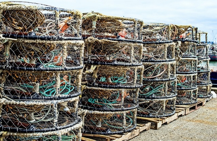 Crab Pots in Westport