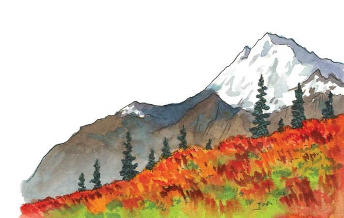 The Best Coast is a west coast travel guide, sub-titled A Road Trip Atlas it doesn't use photos but instead has hundreds of beautiful illustrations.