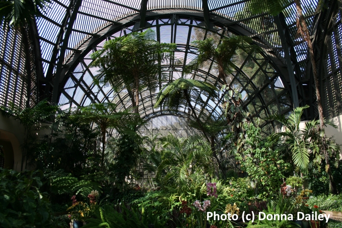 Inside the Botanical Building in Balboa Park, San Diego, California