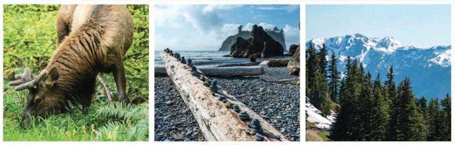Photos from the Olympic Peninsula Travel Guide