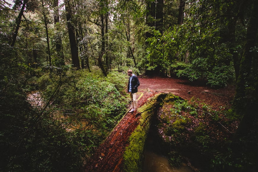 Boulder Creek in Big Basin Redwoods State Park