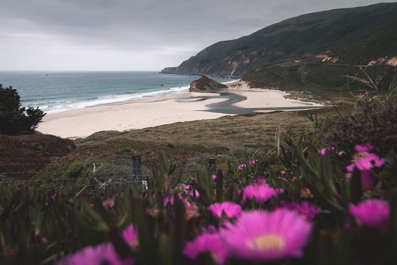 California Beach Scene