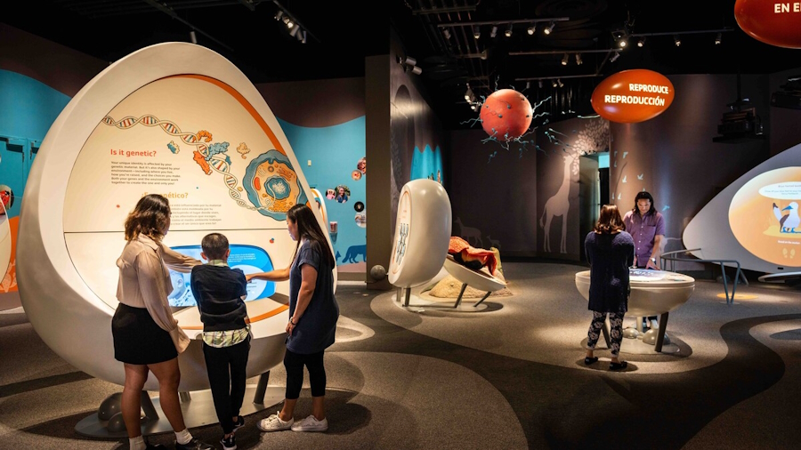 california-science-center-los-angeles.jpg