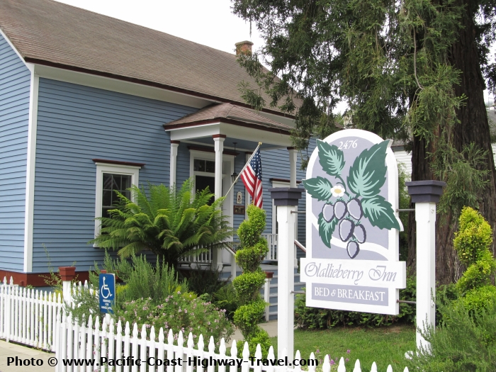 The guide to California Bed and Breakfast Inns lists over 250 boutique hotels, wine country cottages and more.