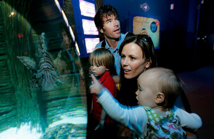SEA LIFE Aquarium in Carlsbad