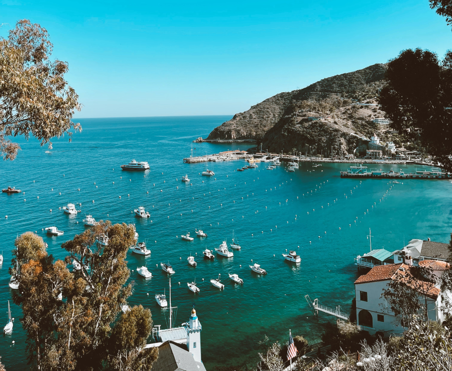 Santa Catalina Island off the California coast