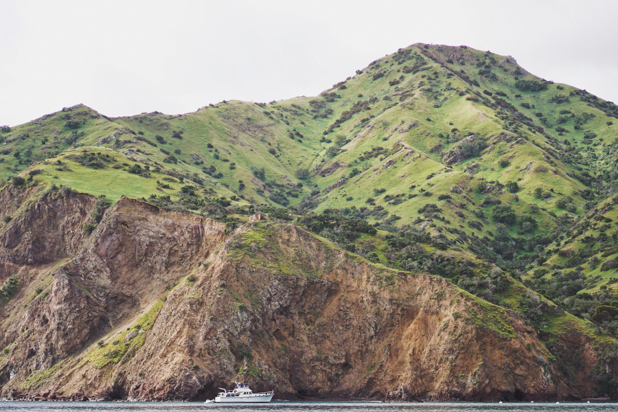 Boat Going to Santa Catalina Island