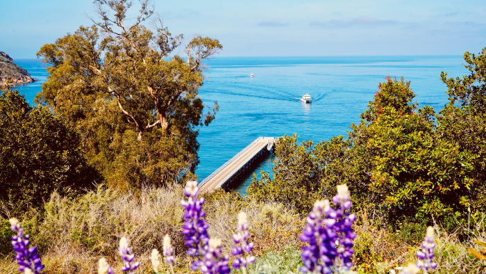 Santa Cruz Island in the Channel Islands National Park