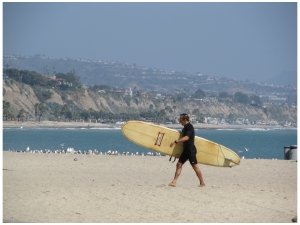 Doheny State Beach, photo (c) Donna Dailey, from https://www.pacific-coast-highway-travel.com/Dana-Point.html