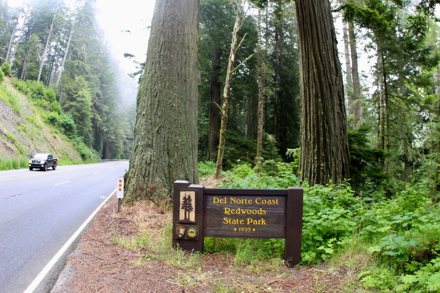 Entrance sign for the Del Norte Coast Redwoods State Park in California