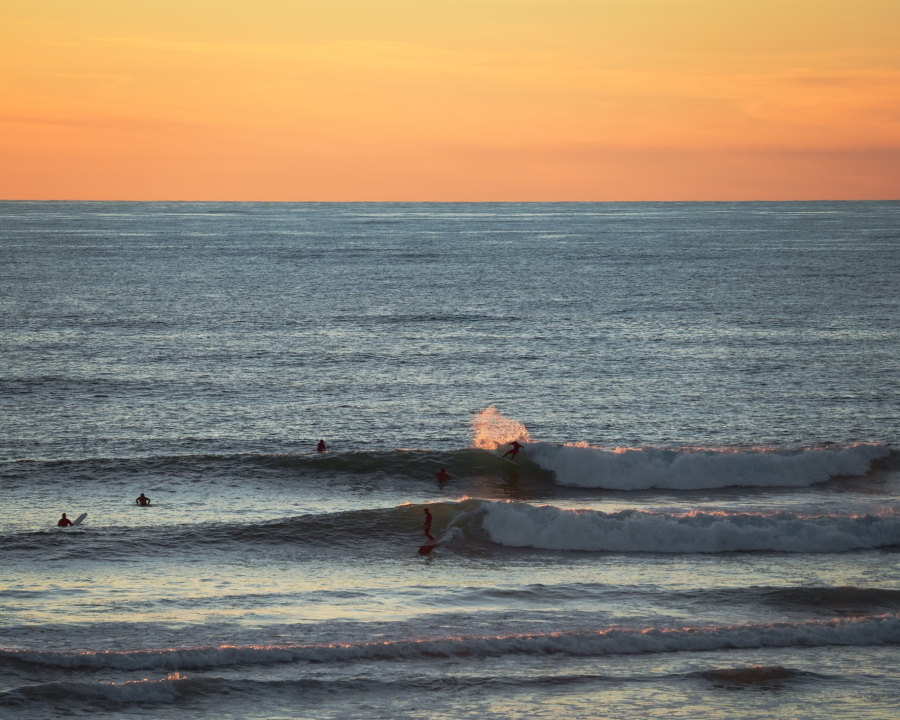 Surfing at Sunset in Encinitas