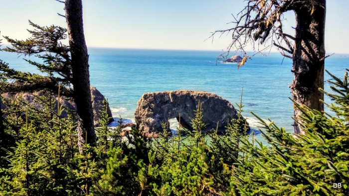 The Pacific Ocean at Gold Beach in Oregon