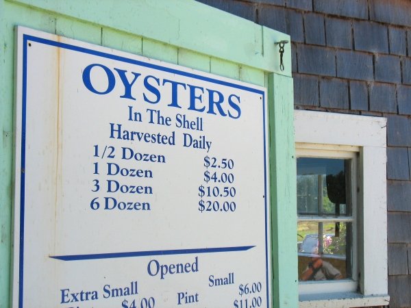 Buying Oysters in Long Beach in Washington, maybe the Longest Beach in the USA