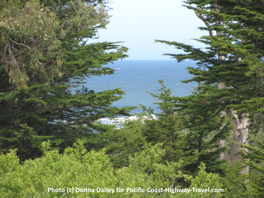 View of the Sea from the Gardens of the Seal Cove Inn in Moss Beach, California