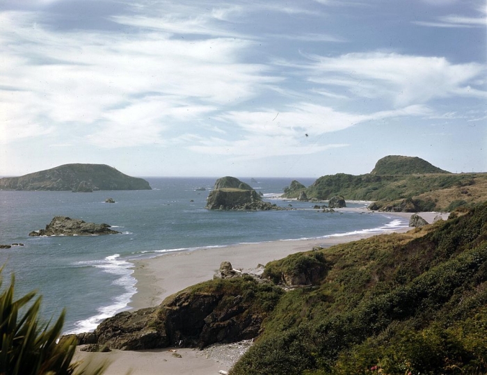 Photo of the Oregon Coast, Taken from Highway 101, the Pacific Coast Highway
