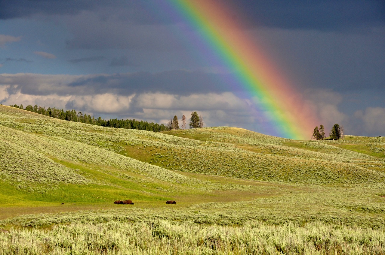 A Rainbow on the Pacific Coast Highway
