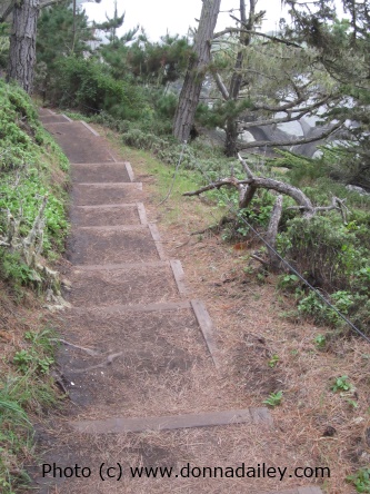 Hiking the North Shore Trail at Point Lobos State Reserve near Carmel and Monterey