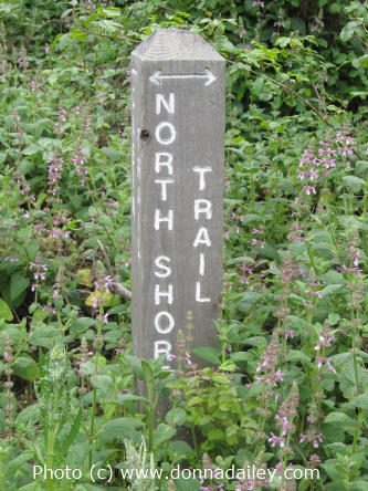 Signpost for the North Shore Trail at Point Lobos State Reserve near Carmel and Monterey