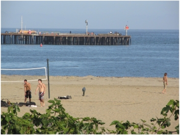 Beach View from the Oceana, a Santa Barbara beachfront hotel