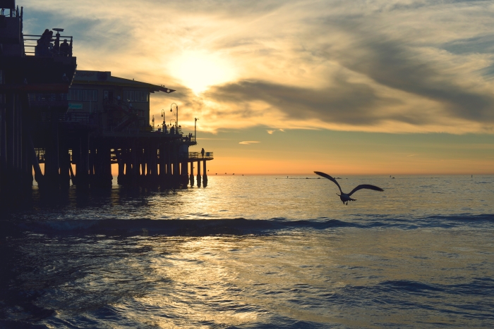 Santa Monica Pier