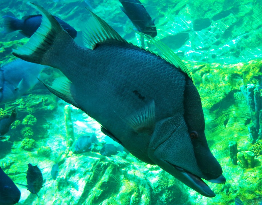 SeaWorld San Diego