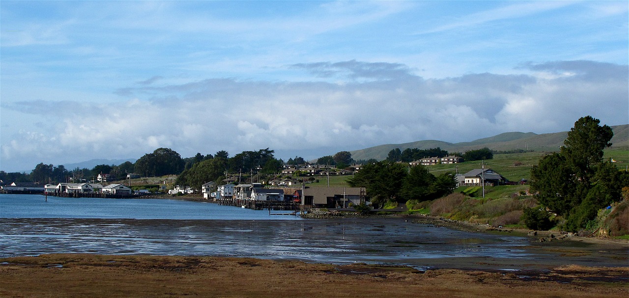 Bodega Bay is a small California coastal town on the borders of Marin County and Sonoma County, and the filming location for Alfred Hitchcock's the Birds.