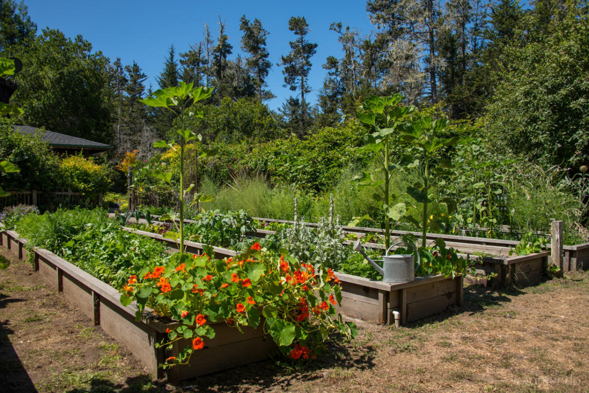The Gardens at the MacCallum House Inn in Mendocino