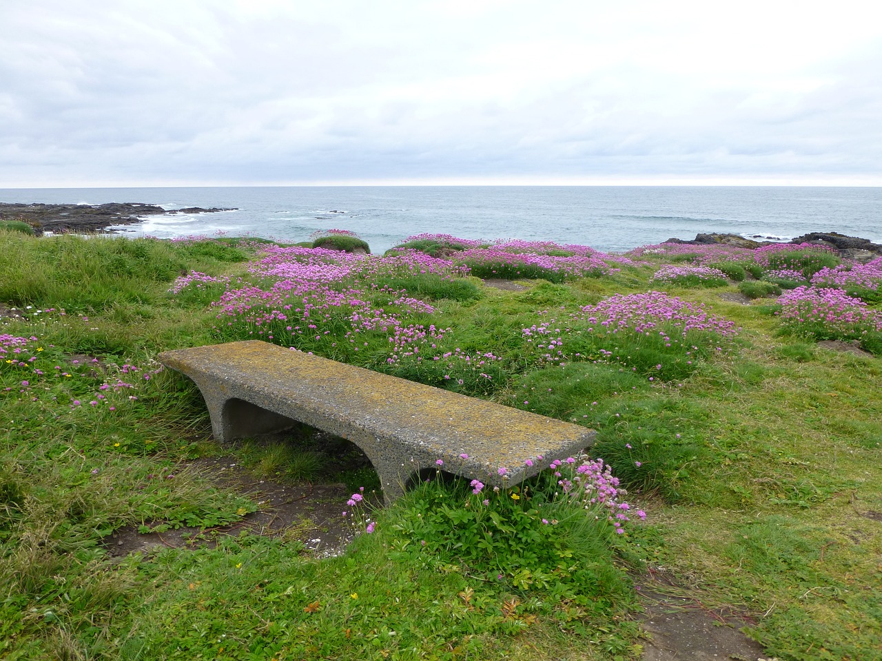 A bench by the sea, a good spot for a picnic in Yachats, Oregon