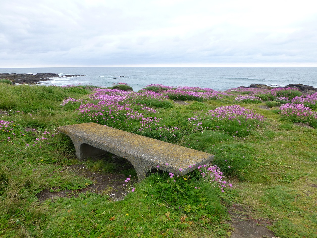 A bench overlooking the Pacific Ocean at Yachats in Oregon